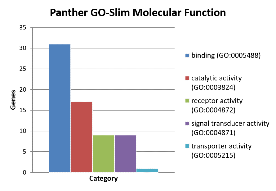 Molecular Function Schema